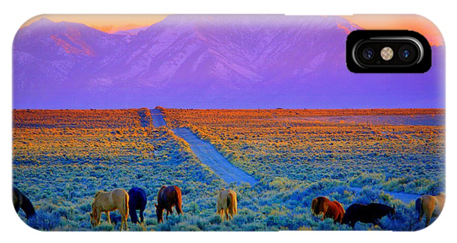 Wild Horses iPhone X Case featuring the photograph Wild Horse Country by Jeanne Bencich-Nations