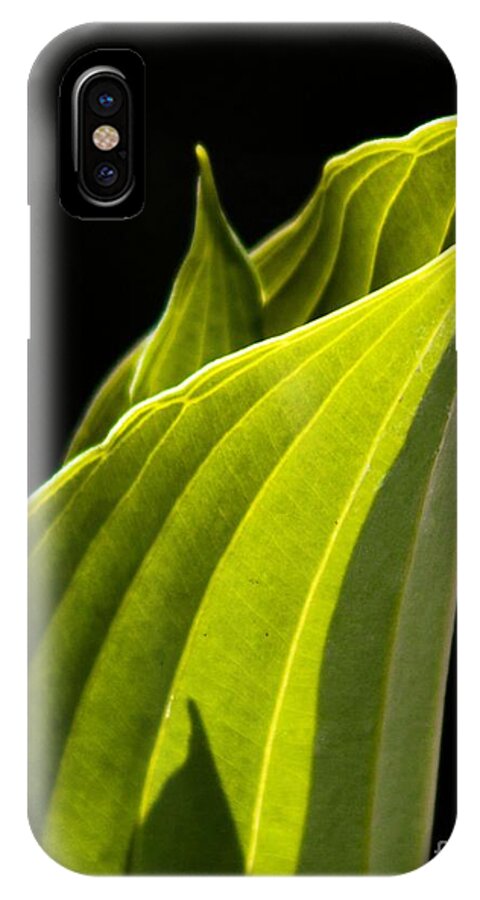 Hosta iPhone X Case featuring the photograph New Hosta by Richard Lynch