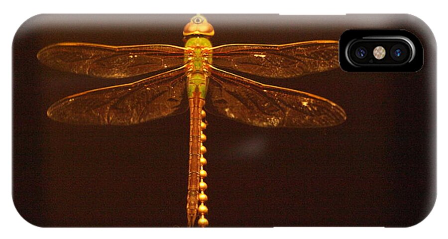 Dragonfly iPhone X Case featuring the photograph Night Dragon by Jeffrey Peterson