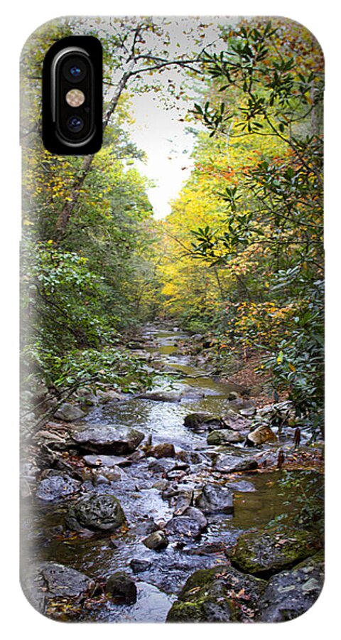 South Mountains State Park iPhone X Case featuring the photograph North Carolina Typical by Ben Shields