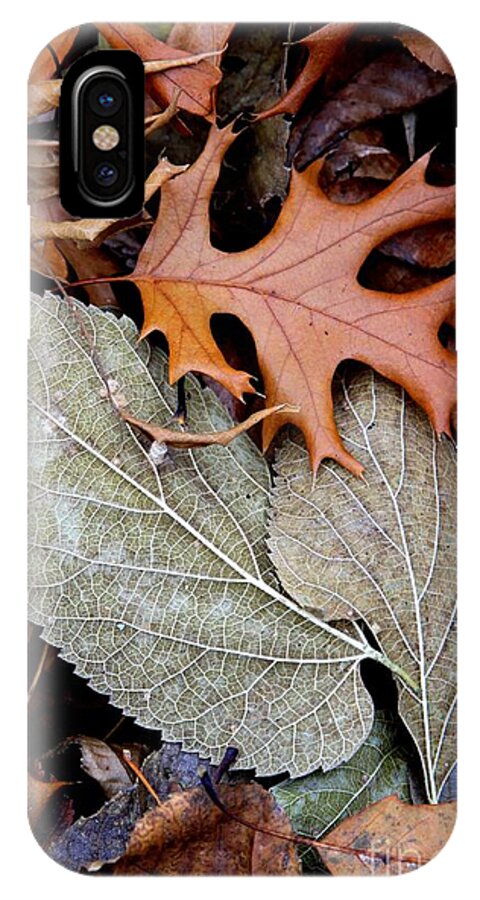 Leafs iPhone X Case featuring the photograph November Leafs by Rick Rauzi