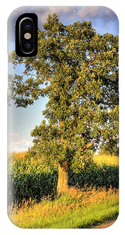 Hdr iPhone X Case featuring the photograph Oak Tree by the Roadside by Larry Capra