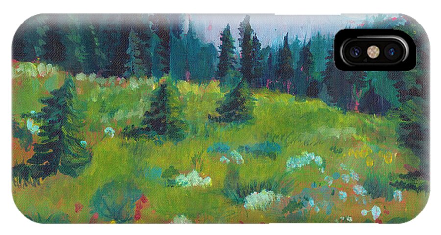 C Sitton Painting Paintings iPhone X Case featuring the painting Off the Trail by C Sitton