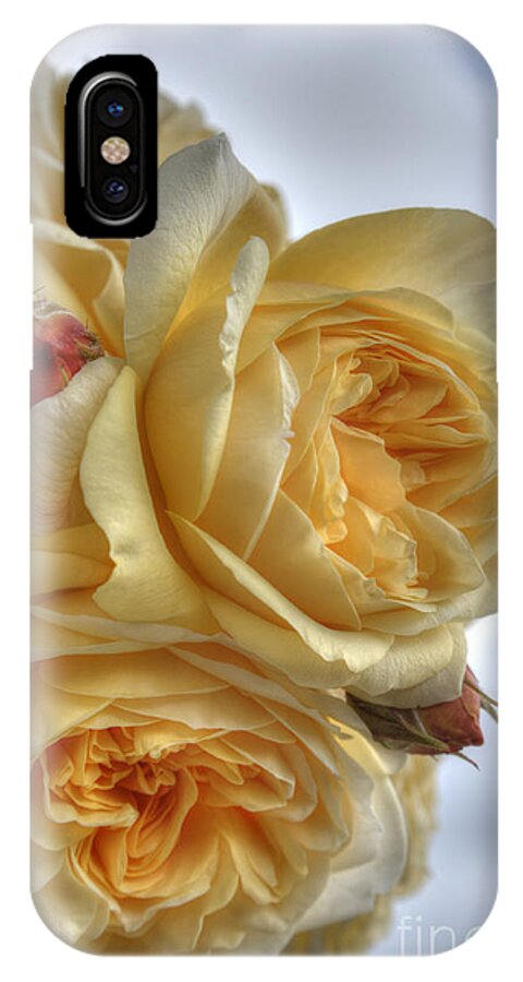 Rose iPhone X Case featuring the photograph Old Fashion Roses by Sarah Schroder