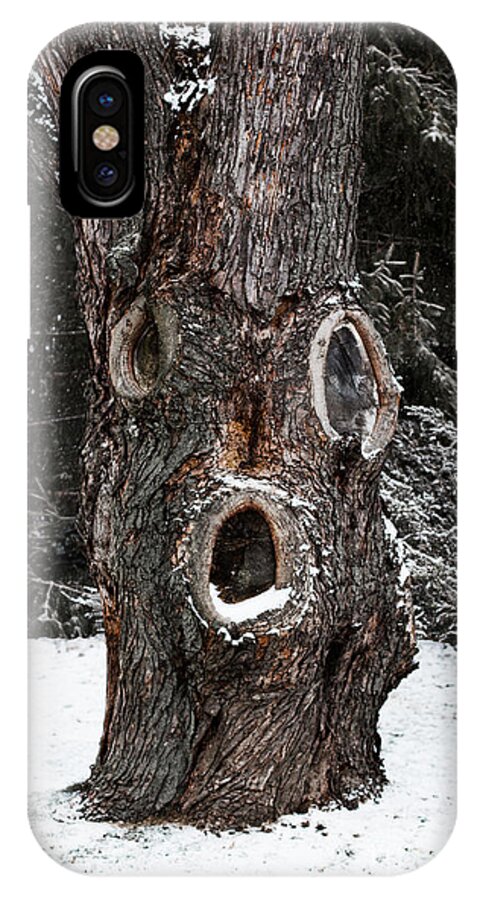 Tree iPhone X Case featuring the photograph Old Man Winter by Barbara McMahon