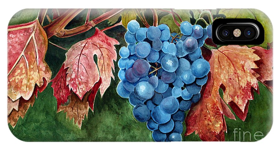 Grapes iPhone X Case featuring the painting Old Vine Zinfandel by Debbie Hart