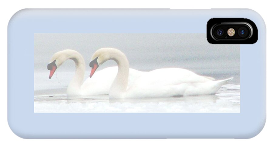 Swans iPhone X Case featuring the photograph On A Misty Morning by Angela Davies