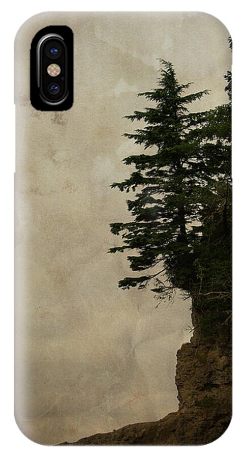 Conifers iPhone X Case featuring the photograph On the Edge by Marilyn Wilson