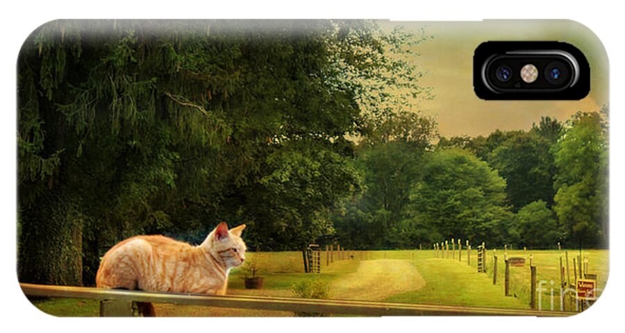 Cat iPhone X Case featuring the photograph Orange Farm Cat by Beth Ferris Sale