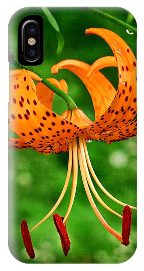 Orange Tiger Lily iPhone X Case featuring the photograph Orange Tiger Lily by Carolyn Derstine