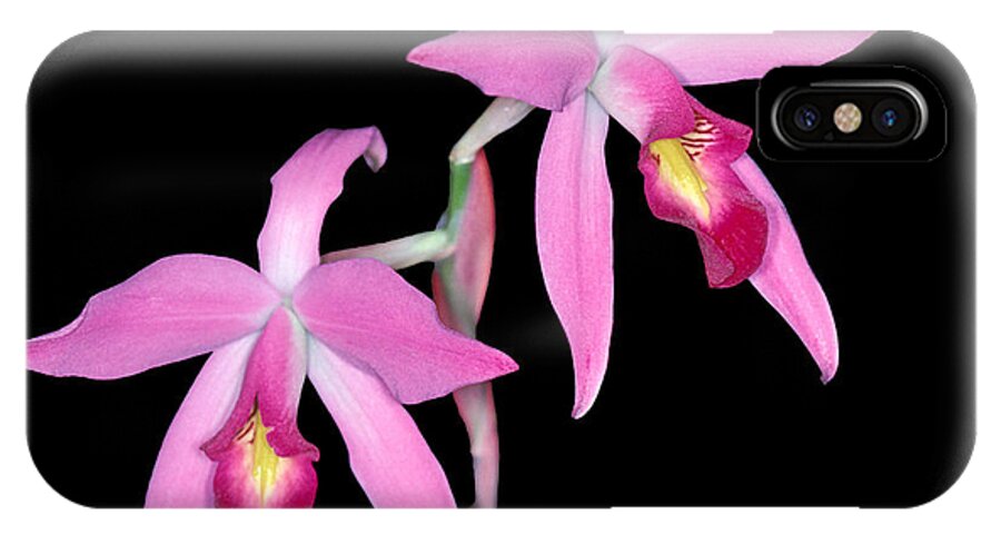 Flower iPhone X Case featuring the photograph Orchid 1 by Andy Shomock