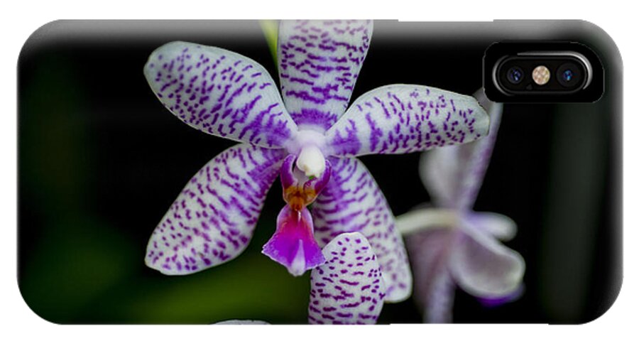 Orchid iPhone X Case featuring the photograph Orchid #3 by Phil Abrams