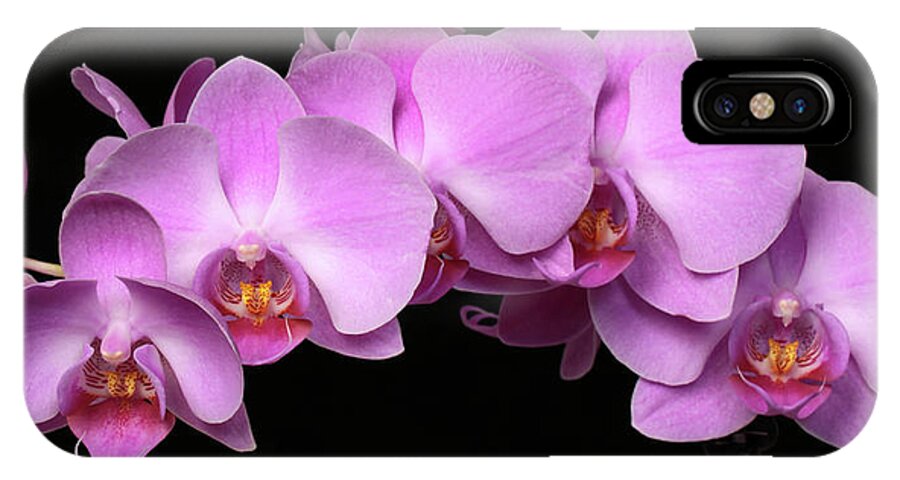 Nature iPhone X Case featuring the photograph Orchid Arch by Harold Rau