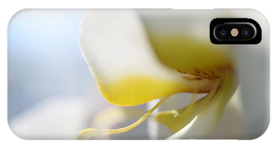 Orchid iPhone X Case featuring the photograph Orchid Melody by Neal Eslinger