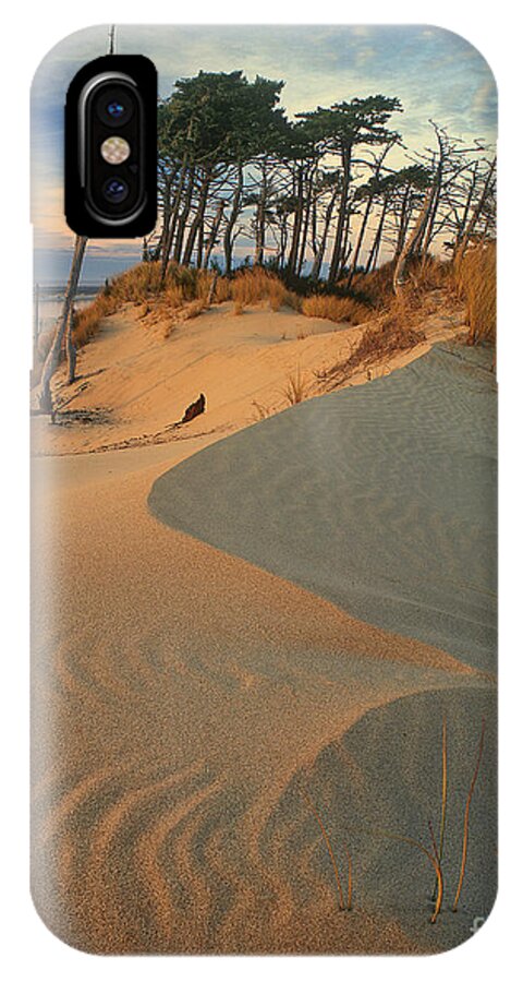 Dave Welling iPhone X Case featuring the photograph Oregon Dunes National Recreation Area Oregon by Dave Welling