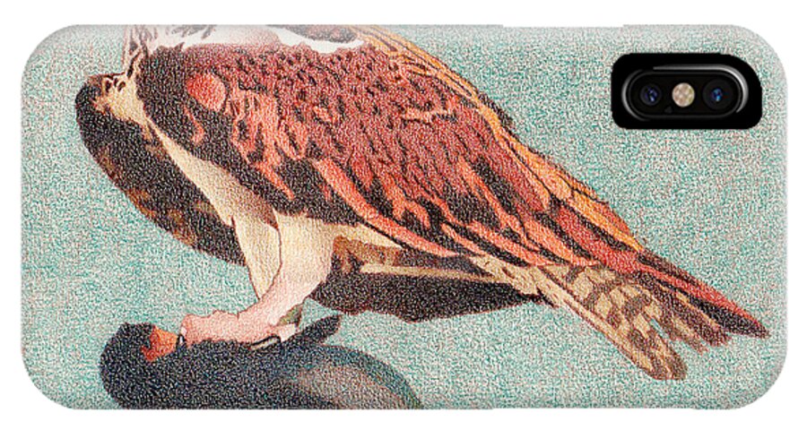 Art iPhone X Case featuring the drawing Osprey by Dan Miller