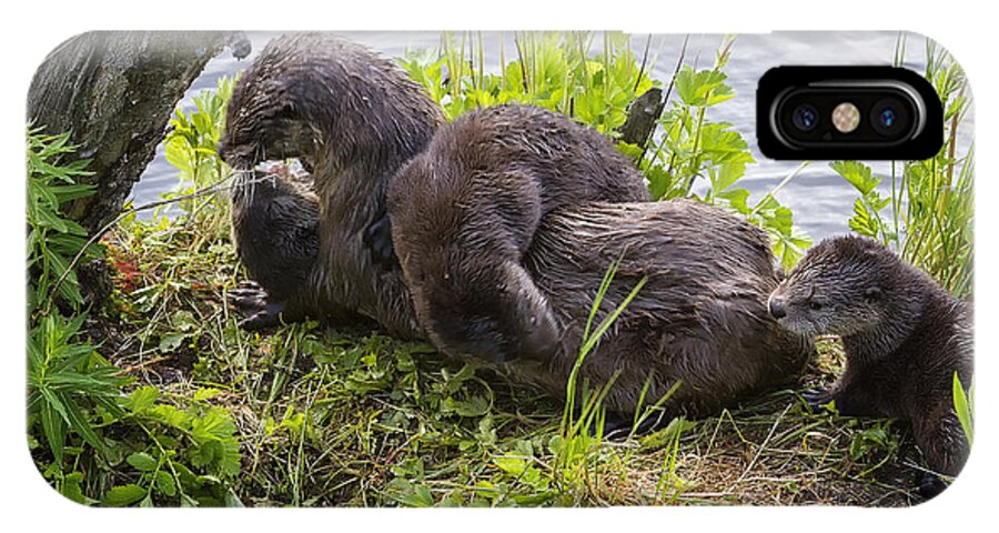 Trout Lake iPhone X Case featuring the photograph Otter Family Fun by Elaine Haberland