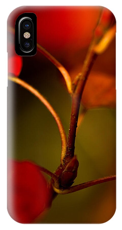 2013 iPhone X Case featuring the photograph Outgrowth by Haren Images- Kriss Haren