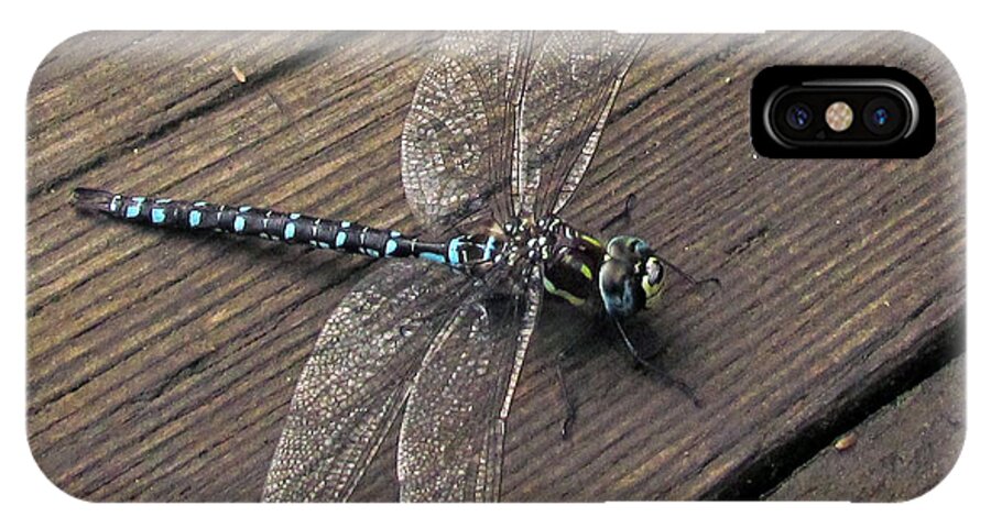 Insect iPhone X Case featuring the photograph Pacific Forktail by I'ina Van Lawick