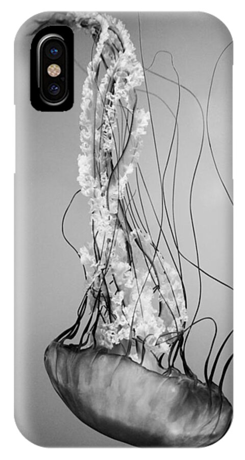 Pacific Sea Nettle iPhone X Case featuring the photograph Pacific Sea Nettle - Black and White by Marianna Mills