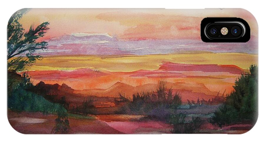 Southwest iPhone X Case featuring the painting Painted Desert II by Ellen Levinson
