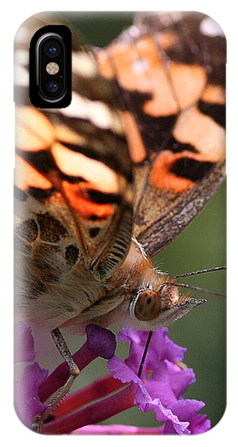 Nature iPhone X Case featuring the photograph Painted Lady on Butterfly Bush by William Selander