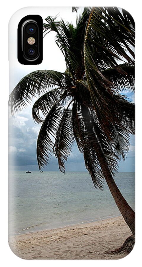 Beach iPhone X Case featuring the photograph Palm On The Beach by Christiane Schulze Art And Photography