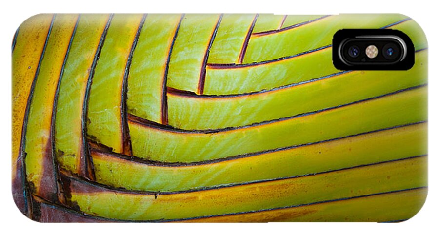 Green iPhone X Case featuring the photograph Palm Tree Leafs by Sebastian Musial