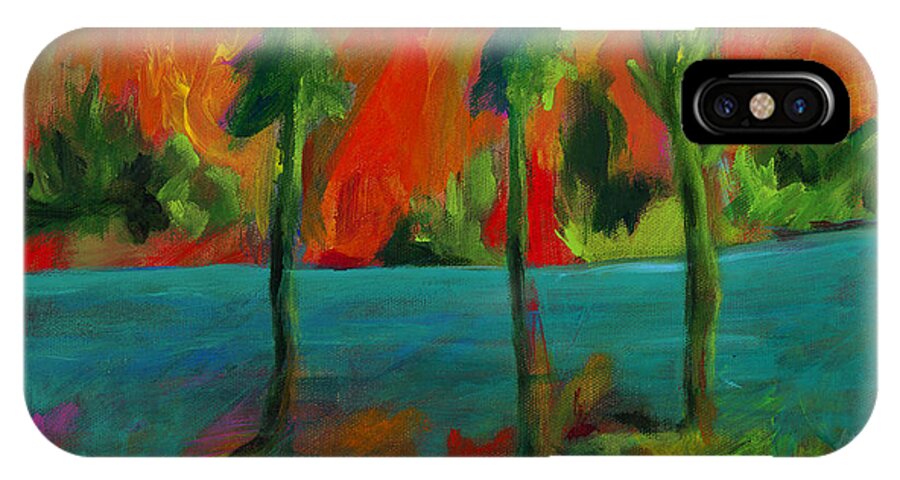 Florida iPhone X Case featuring the painting Palm Trio Sunset by Elizabeth Fontaine-Barr