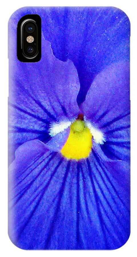 Pansy iPhone X Case featuring the photograph Pansy Flower 37 by Pamela Critchlow
