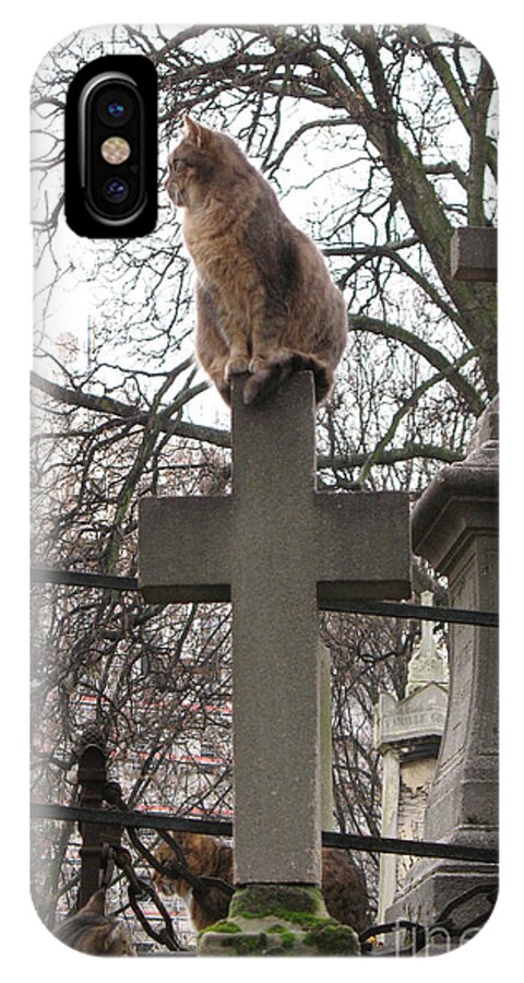 Pere Lachaise Cemetery Cats iPhone X Case featuring the photograph Paris Cemetery Cats - Pere La Chaise Cemetery - Wild Cats On Cross by Kathy Fornal