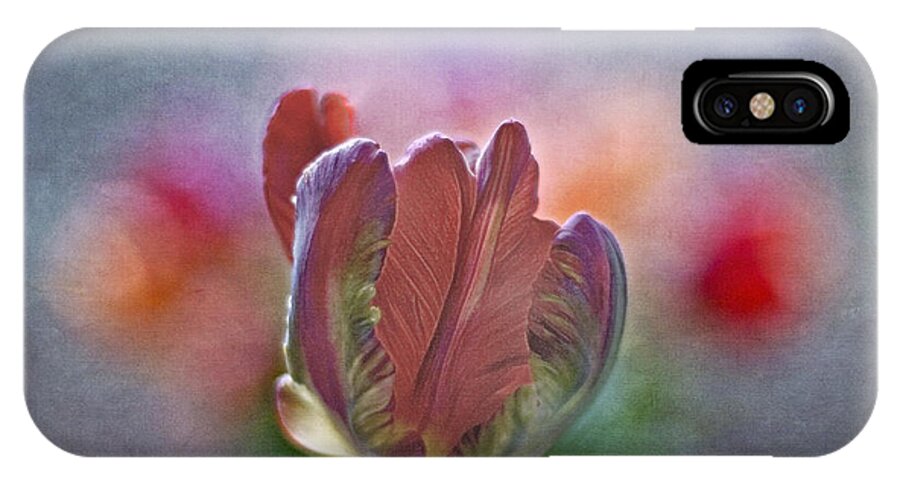 Tulip iPhone X Case featuring the photograph Passionate dreams by Maria Ismanah Schulze-Vorberg