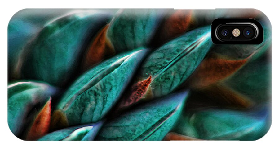 Macro Photography iPhone X Case featuring the photograph Patterns in Nature No.1 by Bonnie Bruno