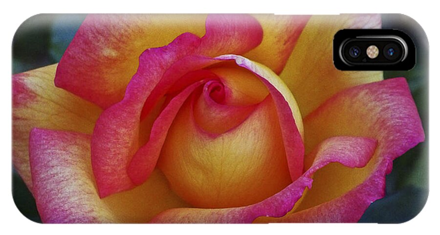Flowers; Roses; Nature; Pink; Yellow iPhone X Case featuring the photograph Peace in Floral Format by Kathy McClure