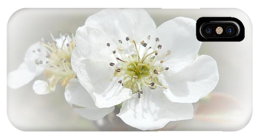 Pear iPhone X Case featuring the photograph Pear Blossom by Judy Hall-Folde