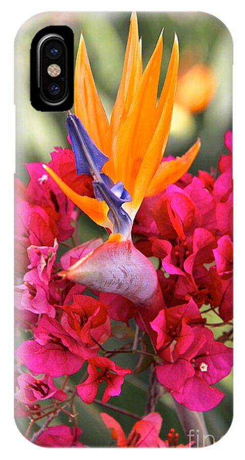 Purple Flowers iPhone X Case featuring the photograph Peeking Through by Suzanne Oesterling