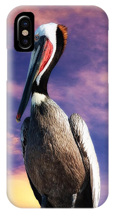 Pelican At Sunset iPhone X Case featuring the photograph Pelican at Sunset by Lena Owens - OLena Art Vibrant Palette Knife and Graphic Design