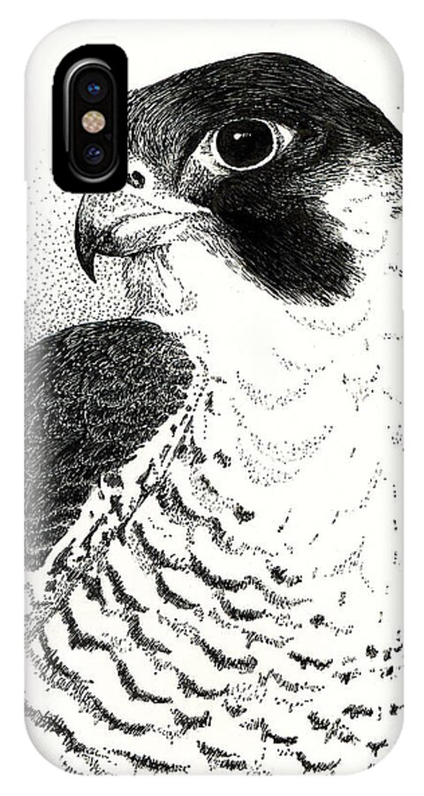 Bird iPhone X Case featuring the drawing Peregrine Falcon by Ann Ranlett