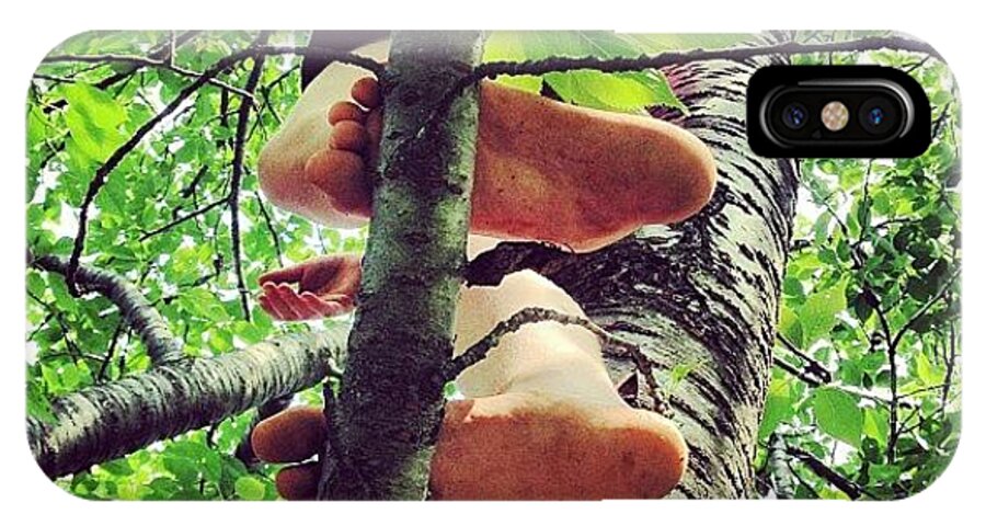 Peter Pan Feet #barefoot #nature #tree iPhone X Case by Sara Norris -  Instaprints