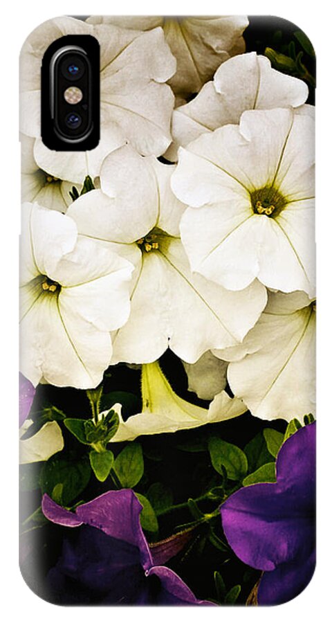 Flowers iPhone X Case featuring the photograph Petunias by Susan Kinney