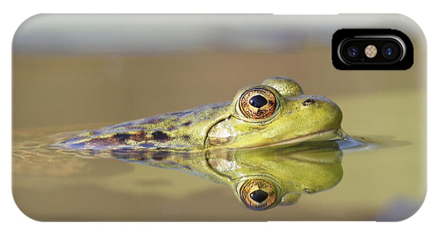 Feb0514 iPhone X Case featuring the photograph Pickerel Frog Nova Scotia Canada by Scott Leslie