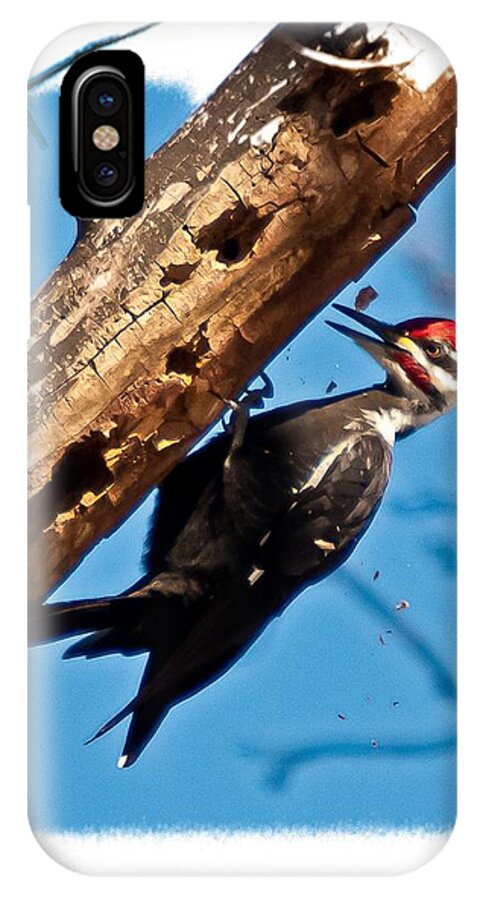Pileated Woodpecker iPhone X Case featuring the photograph Pileated Woodpecker by Robert L Jackson