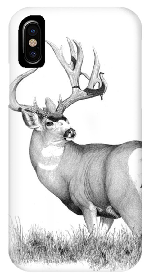 Mule Deer iPhone X Case featuring the painting Pilot Monarch by Darcy Tate