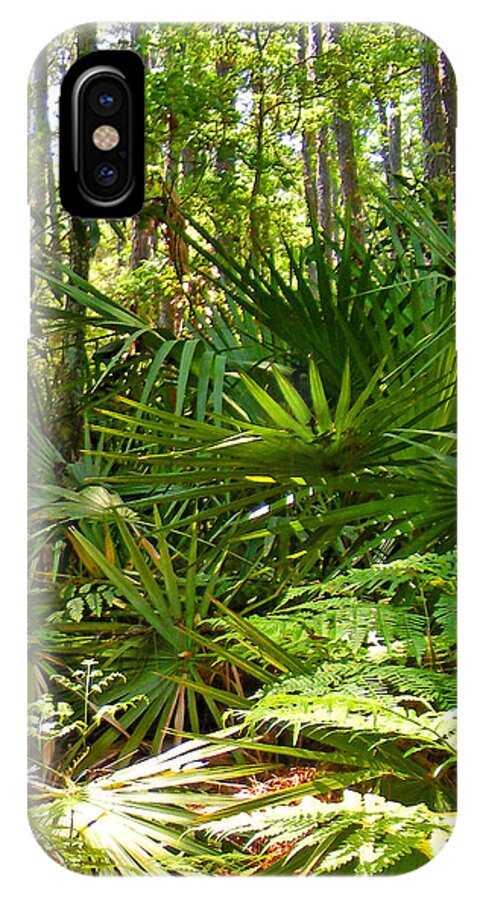 Plants iPhone X Case featuring the photograph Pine and Palmetto Woods Filtered by Duane McCullough