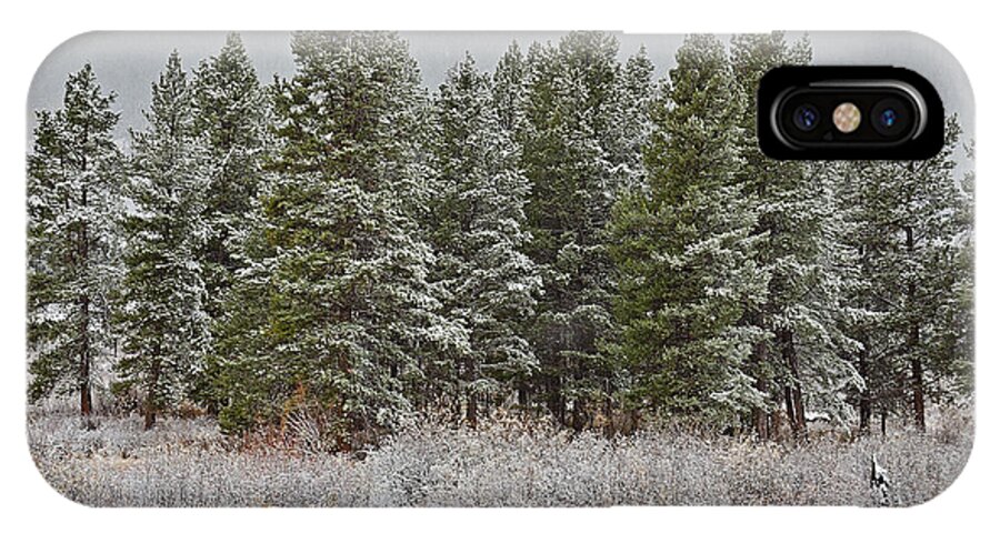 Pine iPhone X Case featuring the photograph Pine Flurries by Kelly Black