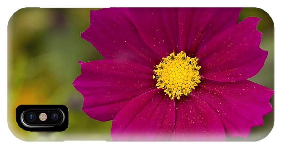 Pink iPhone X Case featuring the photograph Pink Cosmos 3 by Roger Snyder