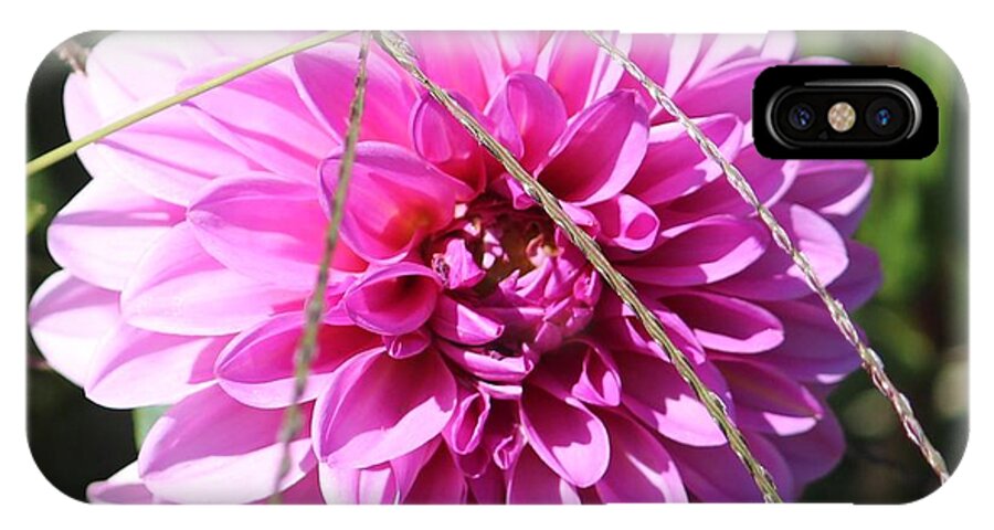 Pink iPhone X Case featuring the photograph Pink Flower by Cynthia Snyder