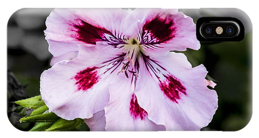 Pink iPhone X Case featuring the digital art Pink Geranium by Photographic Art by Russel Ray Photos