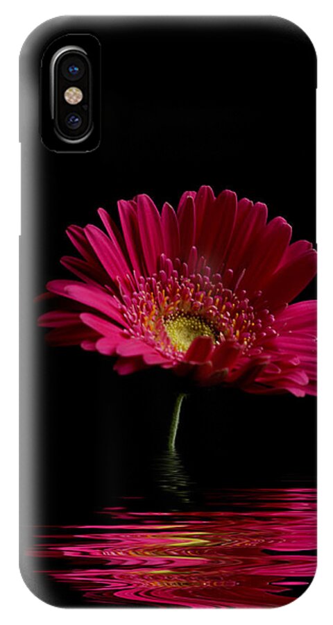 Pink Gerbera Flower iPhone X Case featuring the photograph Pink Gerbera Flood 1 by Steve Purnell