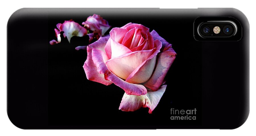 Pink Rose iPhone X Case featuring the photograph Pink Rose by Leanne Seymour